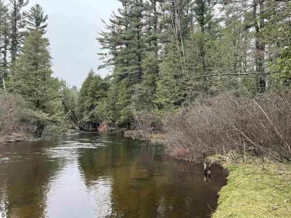 14628 Club Circle, Grayling, MI 49738