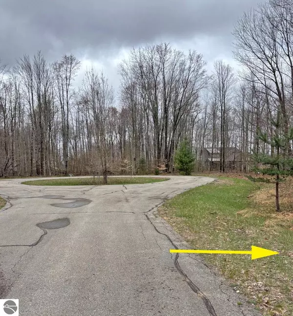 Thompsonville, MI 49683,45 Chickadee Lane