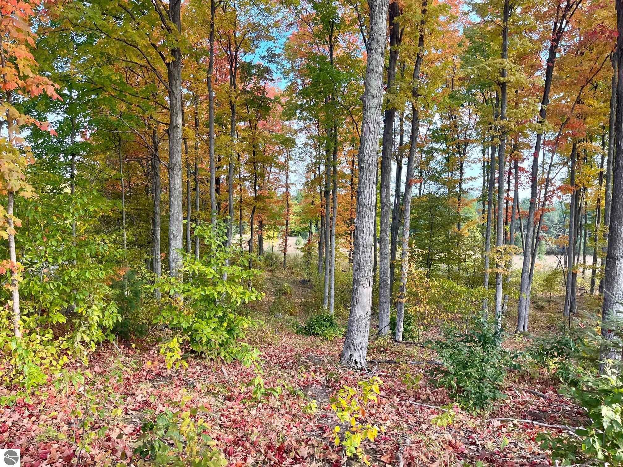 Parcel A6 S Bright Road, Maple City, MI 49664