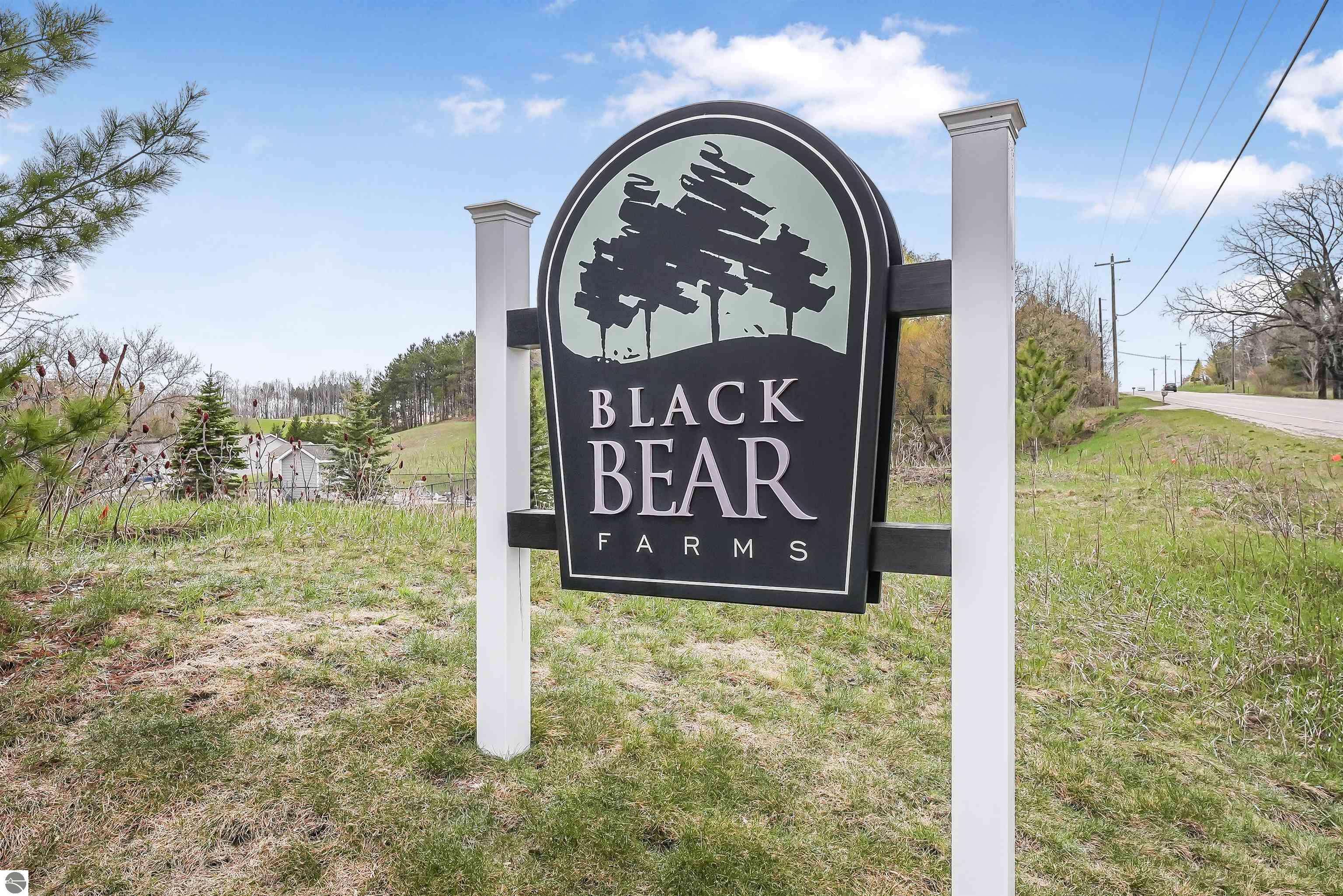 Traverse City, MI 49685,4620 Black Bear Drive