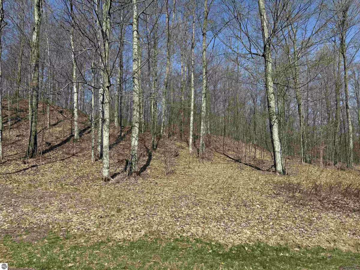 Empire, MI 49630,0000 W Timber View Trail