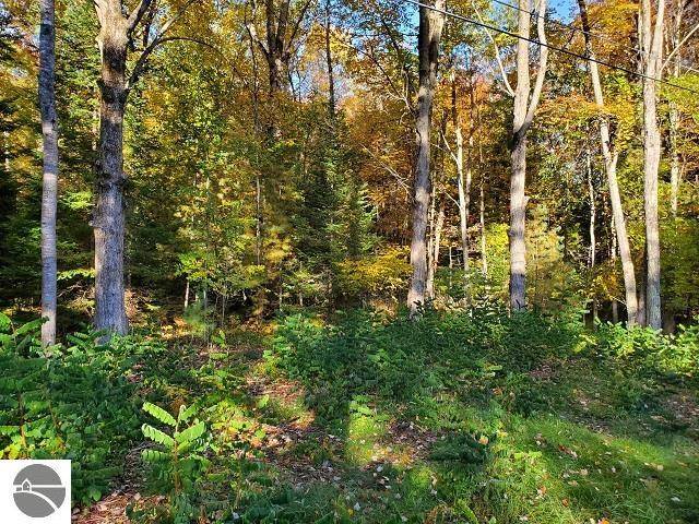 Alger, MI 48610,0 Scenic River Drive