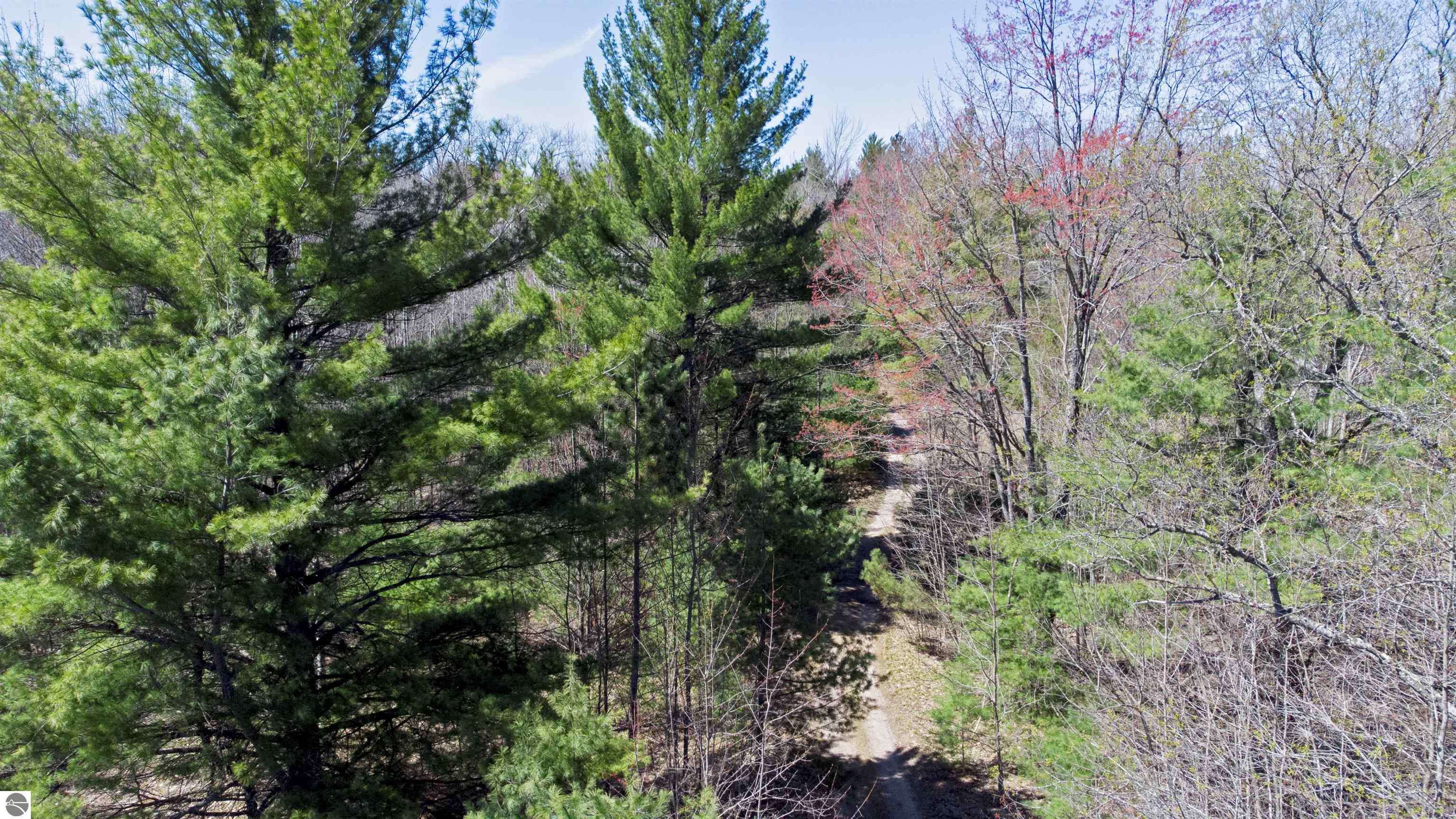 Kalkaska, MI 49646,V/L SE Bobcat Trail