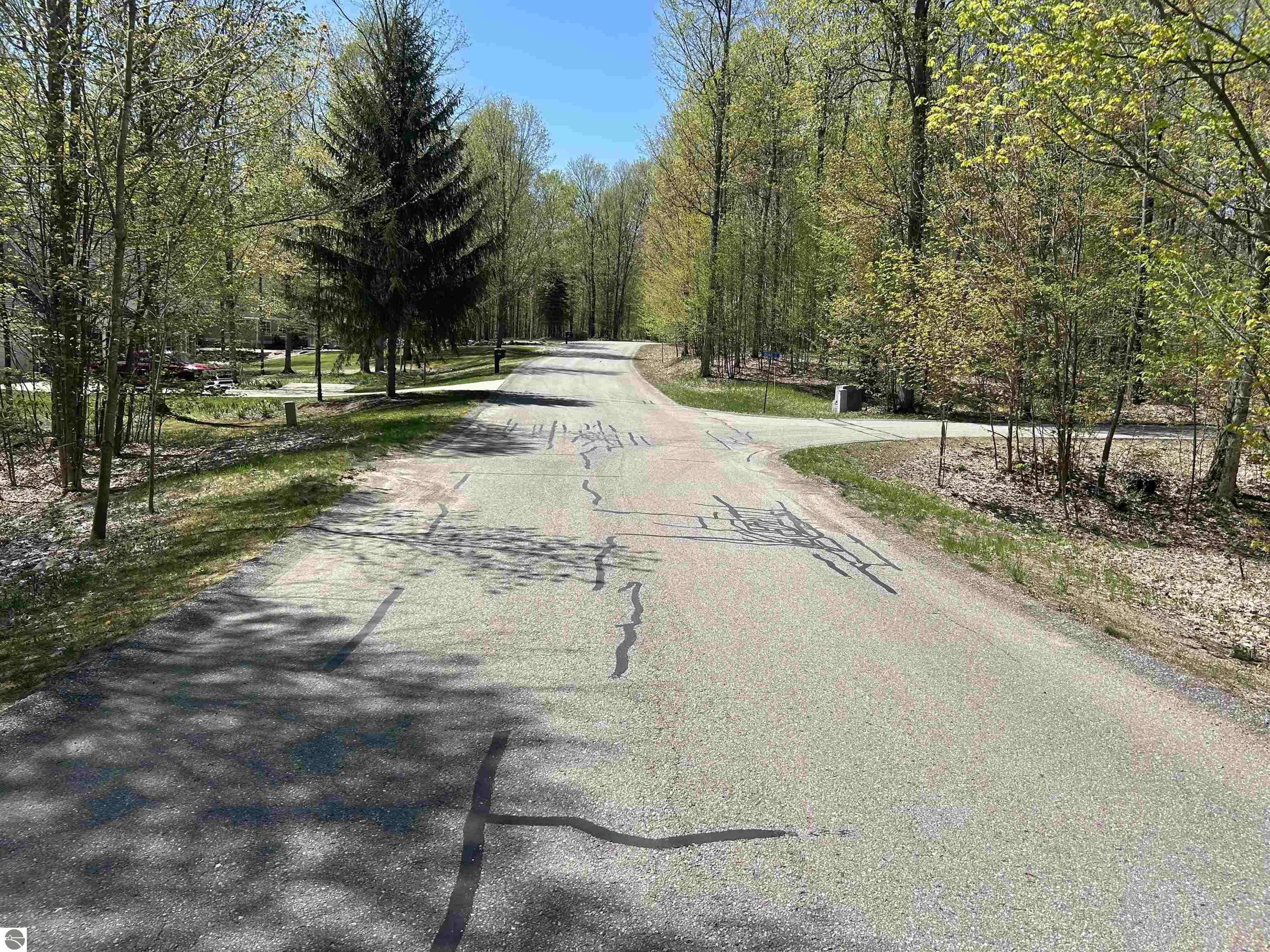 Bellaire, MI 49615,Lot 8 Whitetail Drive