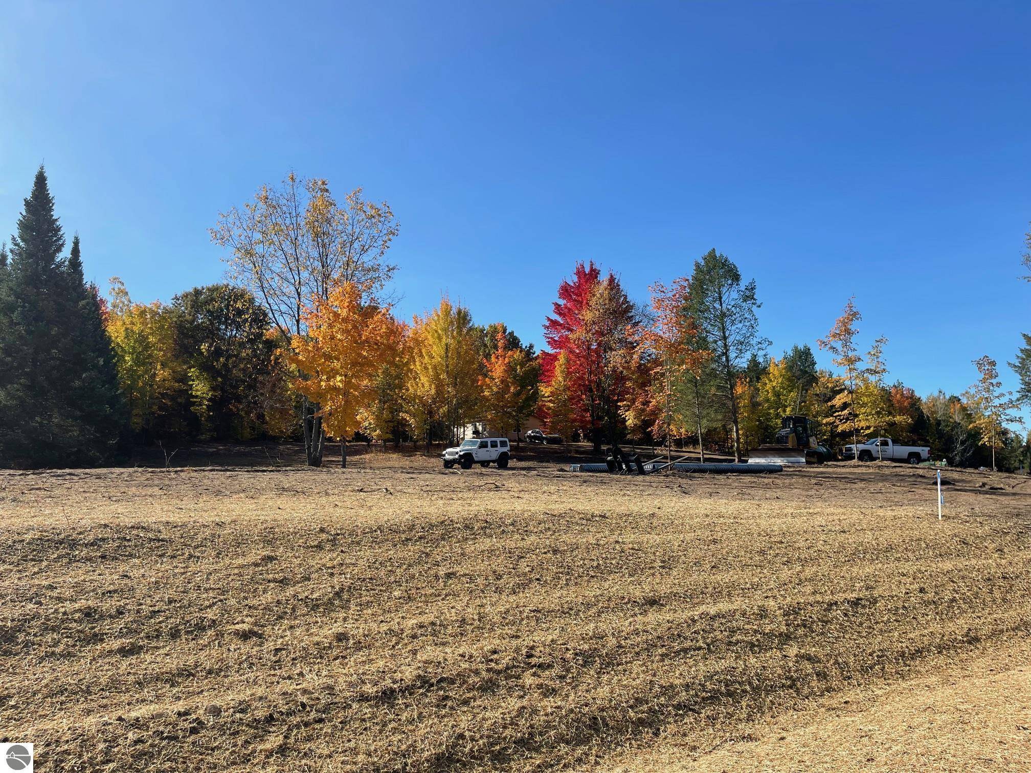 Fife Lake, MI 49633,10601 SW Pine Ridge Drive Wildwood lot 16