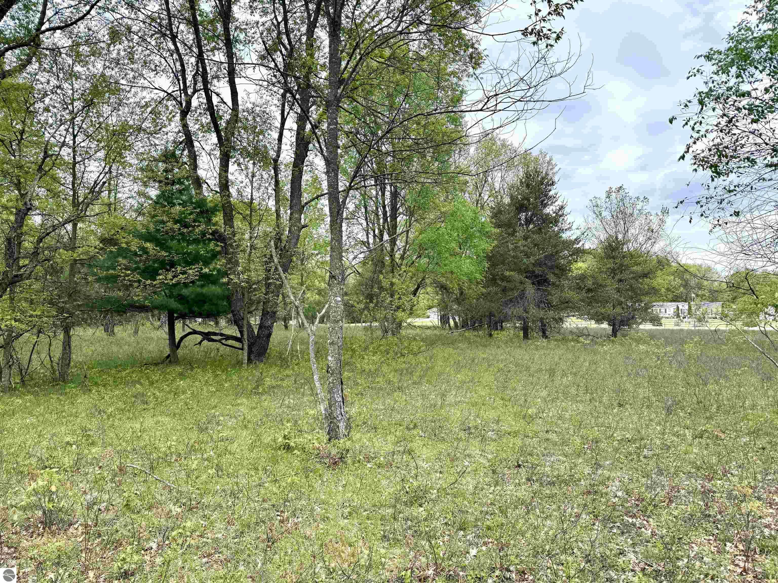 Lake City, MI 49651,Parcel D Rosted Road