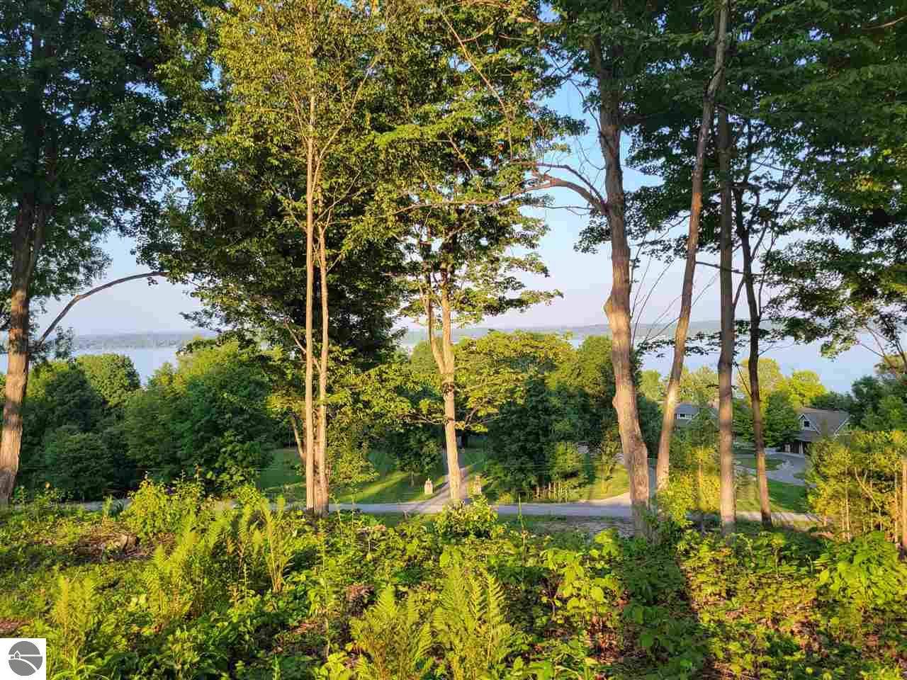 Lot 2 Torch Hills Lane, Rapid City, MI 49676
