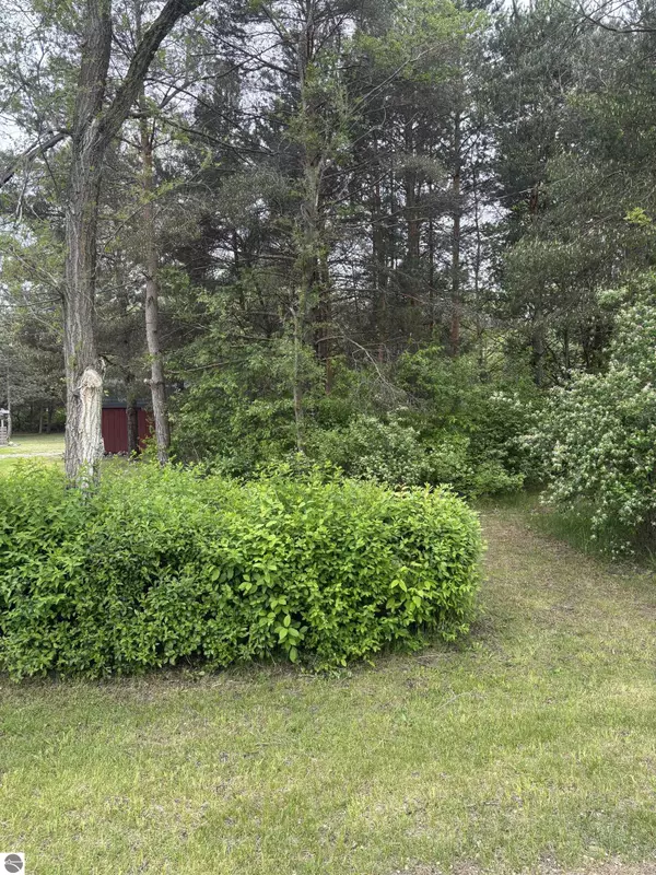 TBD Carter Street, Mt Pleasant, MI 48858
