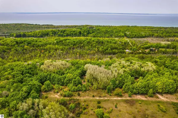 Ellsworth, MI 49729,V/L Kilkenny Lane