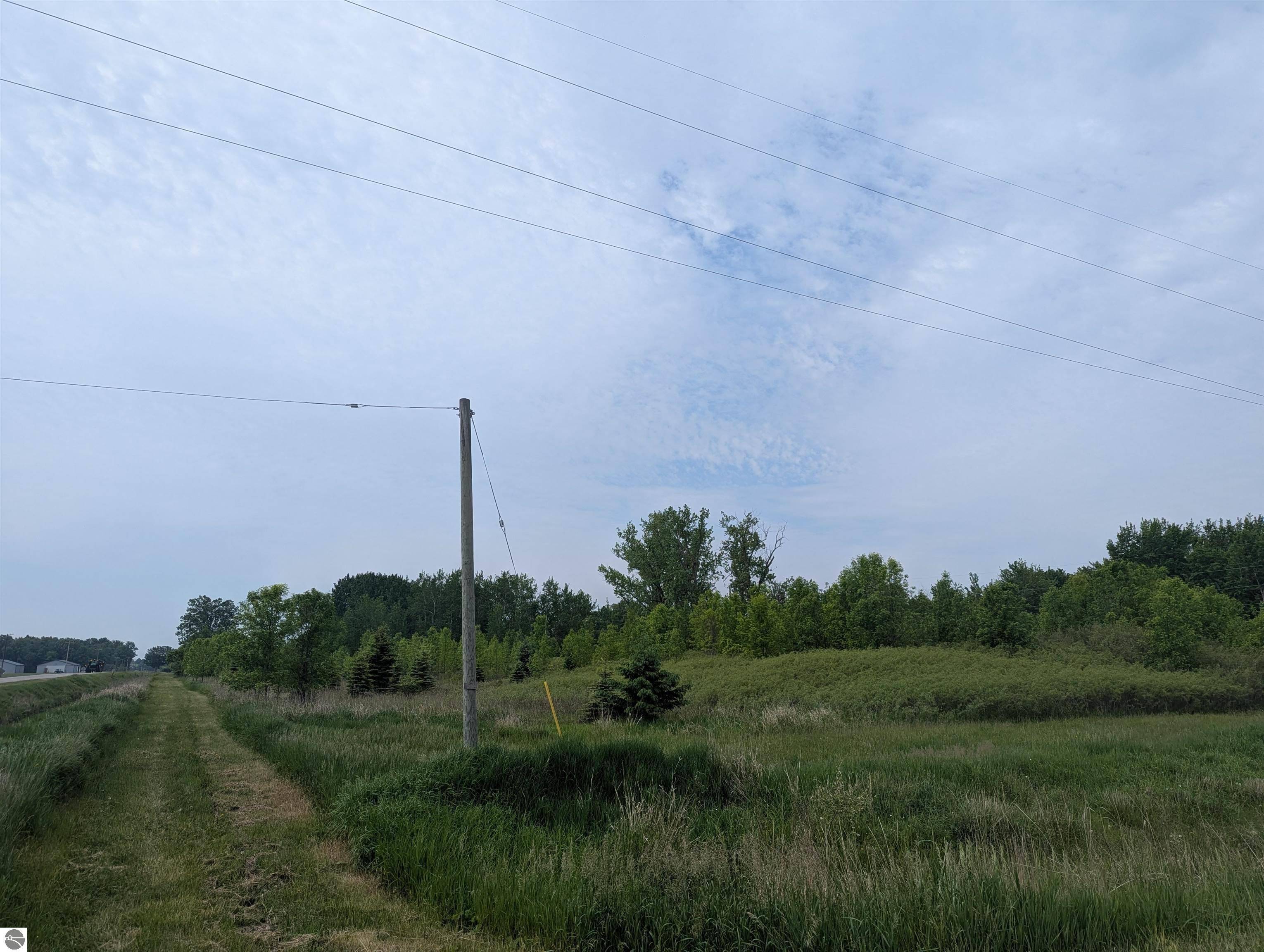 Au Gres, MI 48703,N/A Twining Road