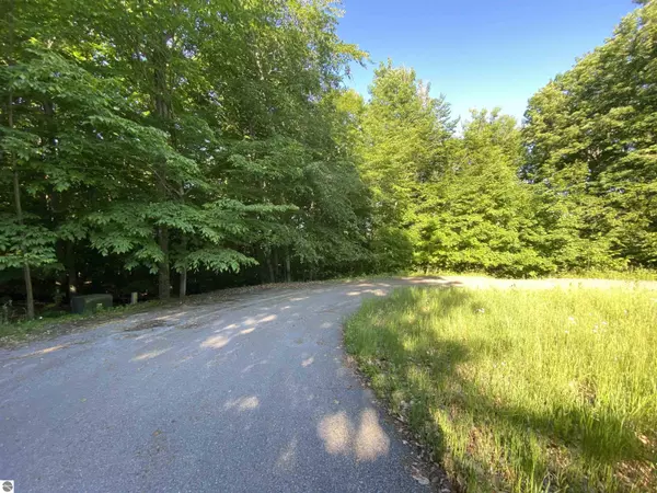 Cedar, MI 49621,Lot 10 S Club Drive