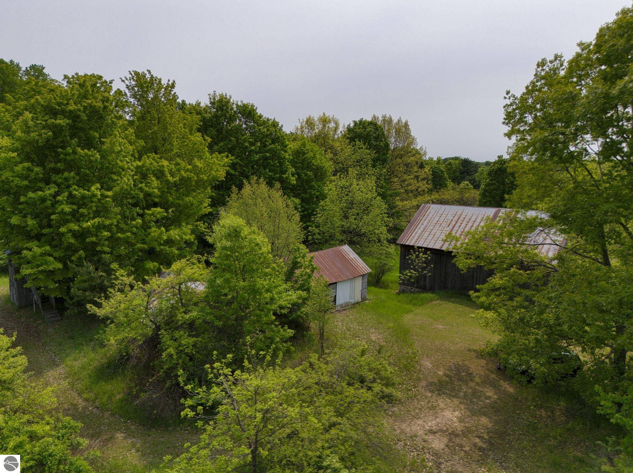 Bellaire, MI 49615,TBD Honey Hollow