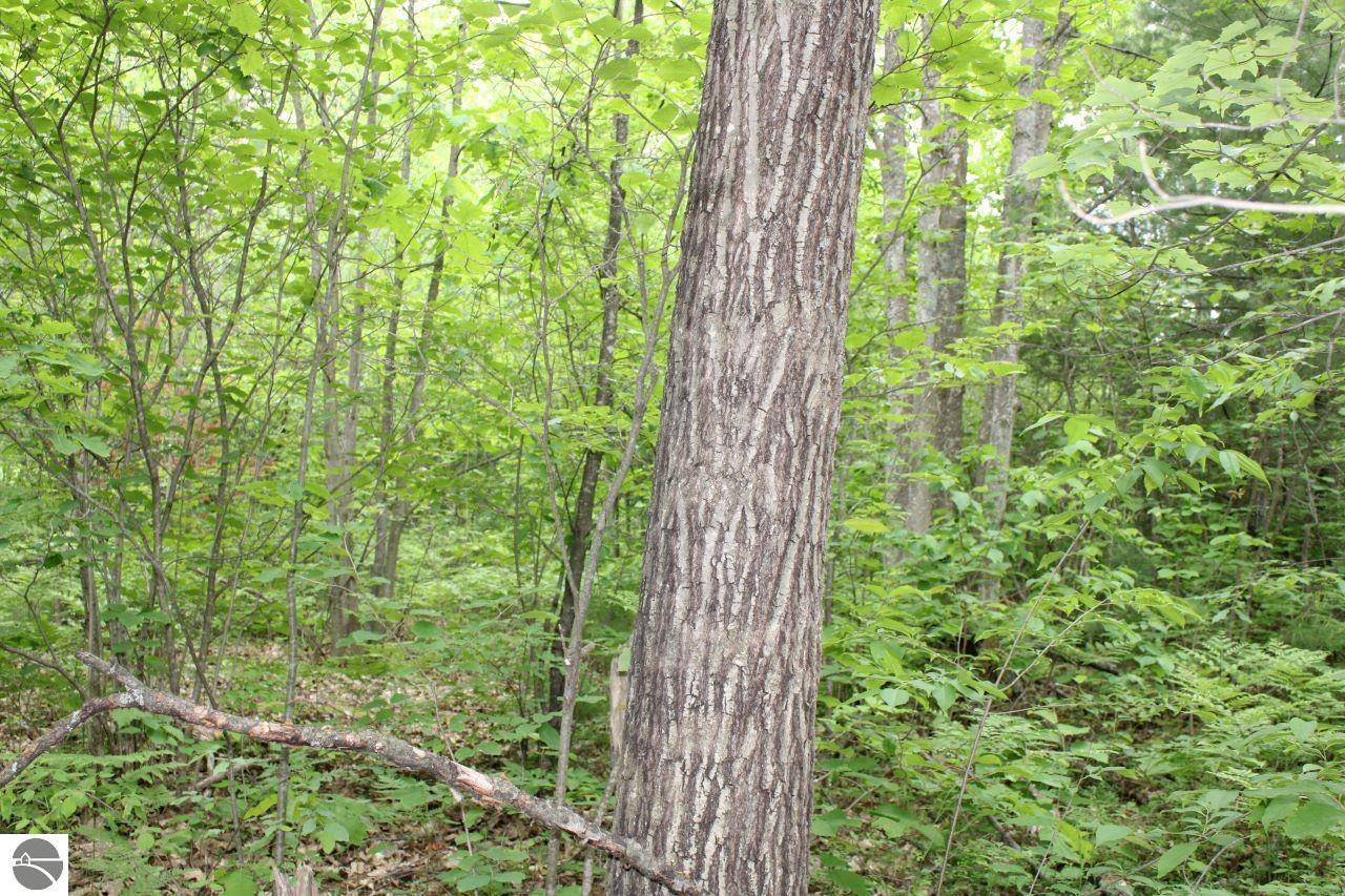 Kalkaska, MI 49646-001,001 Blue Haven Drive