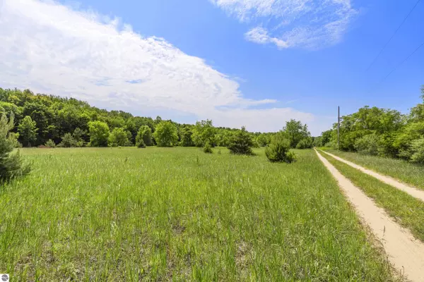 Wallaker Road, Benzonia, MI 49616