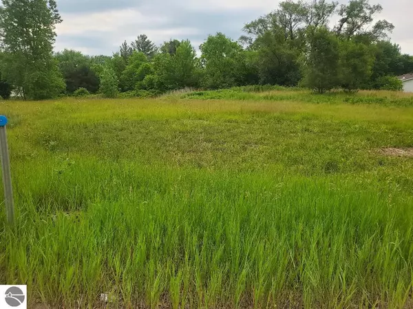 Mt Pleasant, MI 48858,7201 E Pickard Road