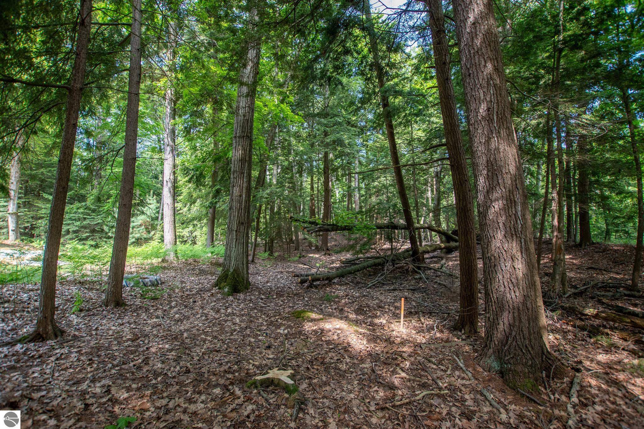 Northport, MI 49670,0 N Cherrywood Court