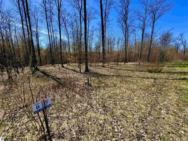 Suttons Bay, MI 49682,1919 N Blue Water Court