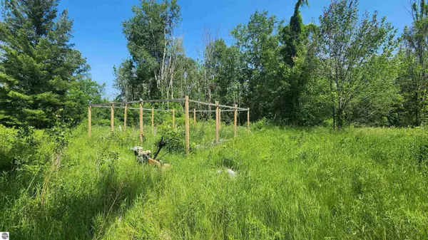 Whittemore, MI 48770,M-65