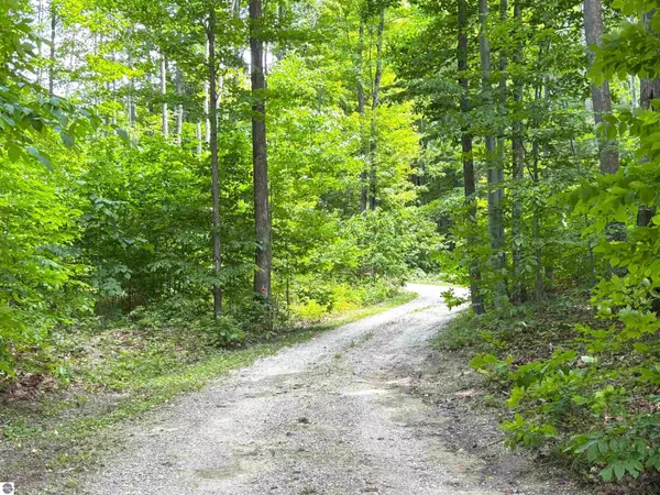 Kalkaska, MI 49646,9031 NE County Road 612