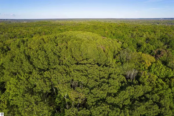 Elmira, MI 49730,V/L Forestgrove Drive 3 Lots (143,144,145)