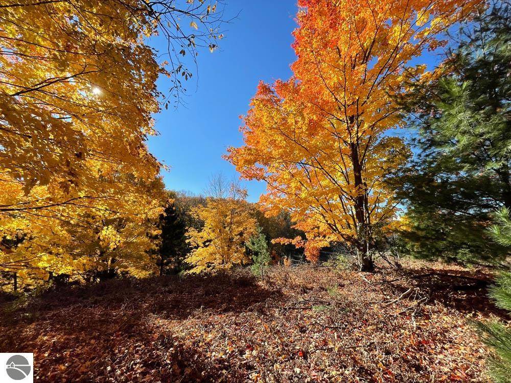 Williamsburg, MI 49690,3096 NW Wildflower Lane Unit 15- Dockery Hills