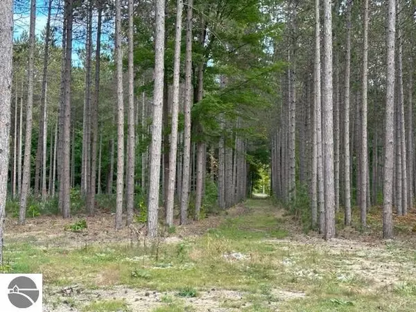 Traverse City, MI 49685,Lot 40 Cascade Trail