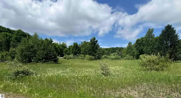 Cedar, MI 49621,Lots 32 & 33 S Ski View Circle