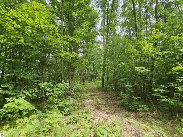 6509 Mareny Drive, Marion, MI 49665