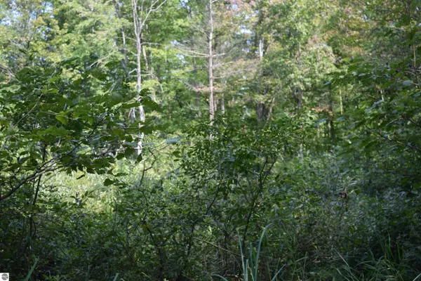 Prescott, MI 48756,Lot 5 Red Oak Trail