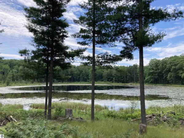 Rose City, MI 48654,1045 Abbott Road