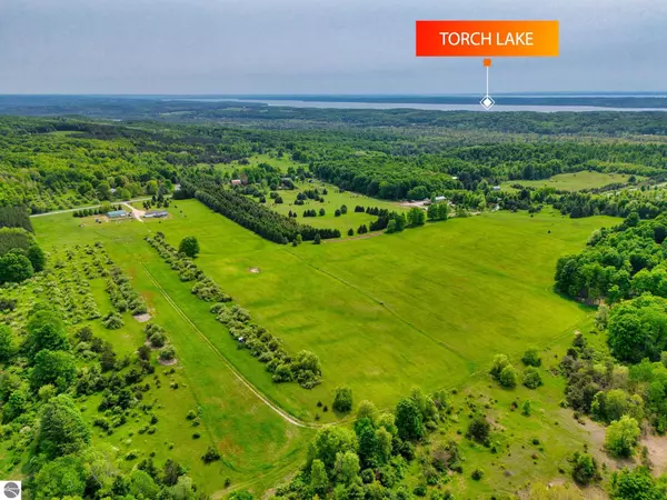 Lot 1 Honey Hollow Road, Bellaire, MI 49615