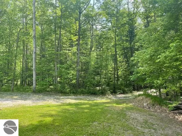 Hale, MI 48739,00 S Sage Lake Road