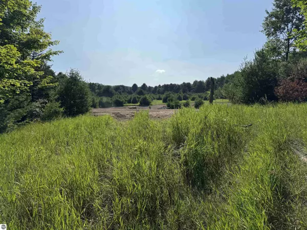 Lot #6 E Bellinger Road #6 Bellinger Estates (Final Road Name TBD), Cedar, MI 49621