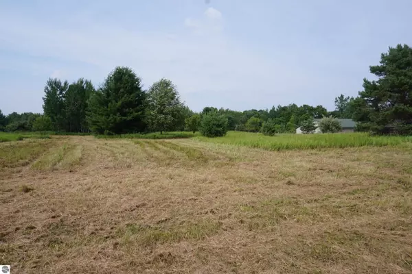 00 Tawas Road, Whittemore, MI 48770