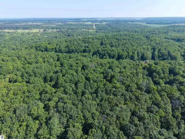 Elmira, MI 49730,12-D Plainfield Trail