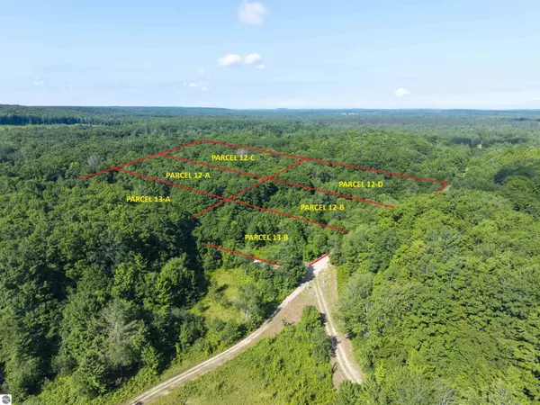 Elmira, MI 49730,13-B Plainfield Trail