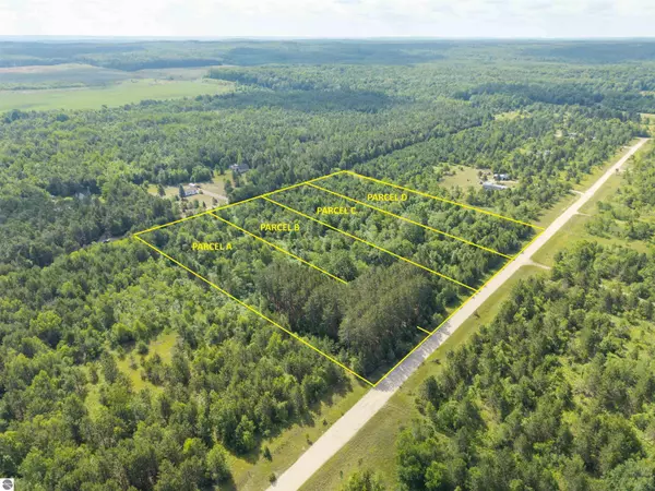 Elmira, MI 49730,C Tucker Road