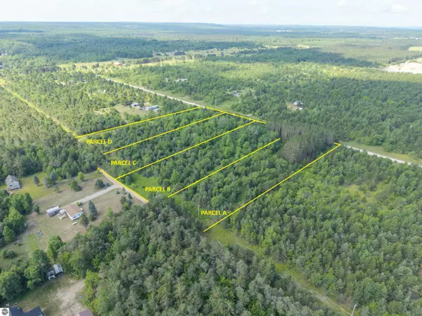 Elmira, MI 49730,C Tucker Road