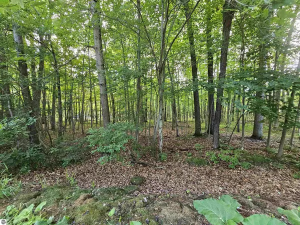lOT 6 Jose Lake Drive, South Branch, MI 48761