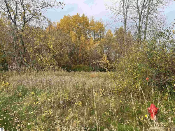Mt Pleasant, MI 48858,Lot 10 McDonald Drive