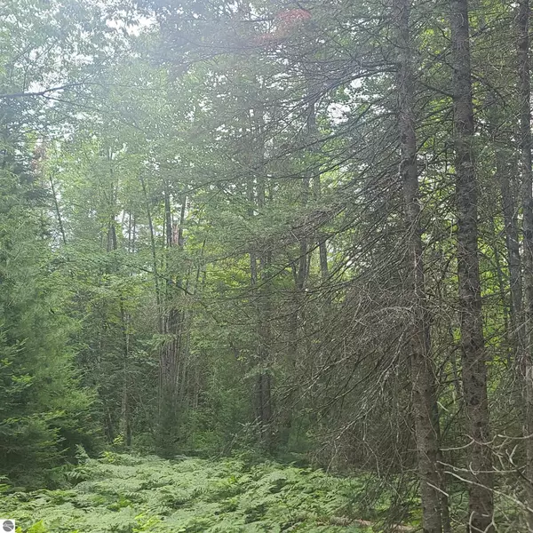 Kalkaska, MI 49646,US-131, SW