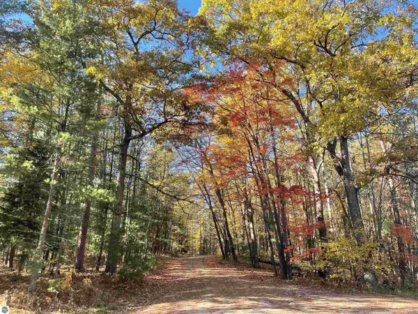 Lot 1 Dockery Road 3037 Dockery Road NW, Williamsburg, MI 49690