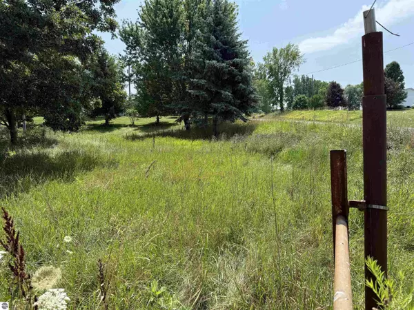 5906 N Crawford Road, Rosebush, MI 48878