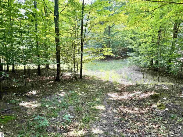 0015 S Mistys Trail, Empire, MI 49630