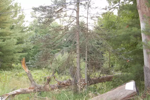 LOT 9 Dorothy Drive, Prescott, MI 48756
