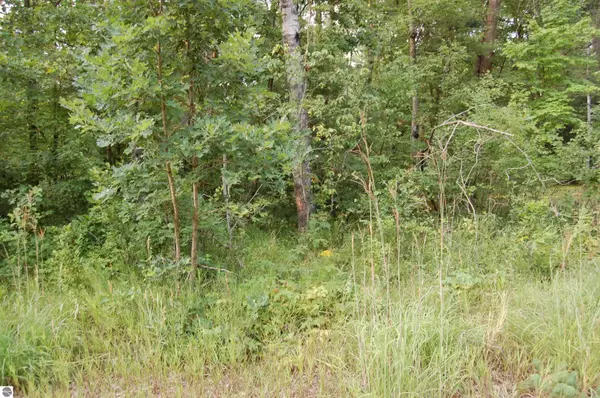 Prescott, MI 48756,LOT 27 Catherine Street