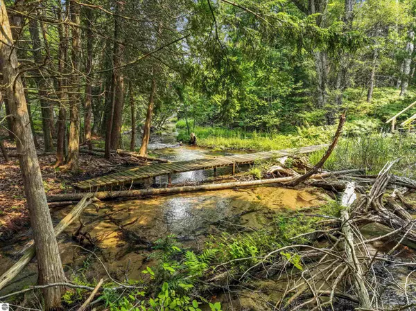 Manton, MI 49663,10580 E 10 Road