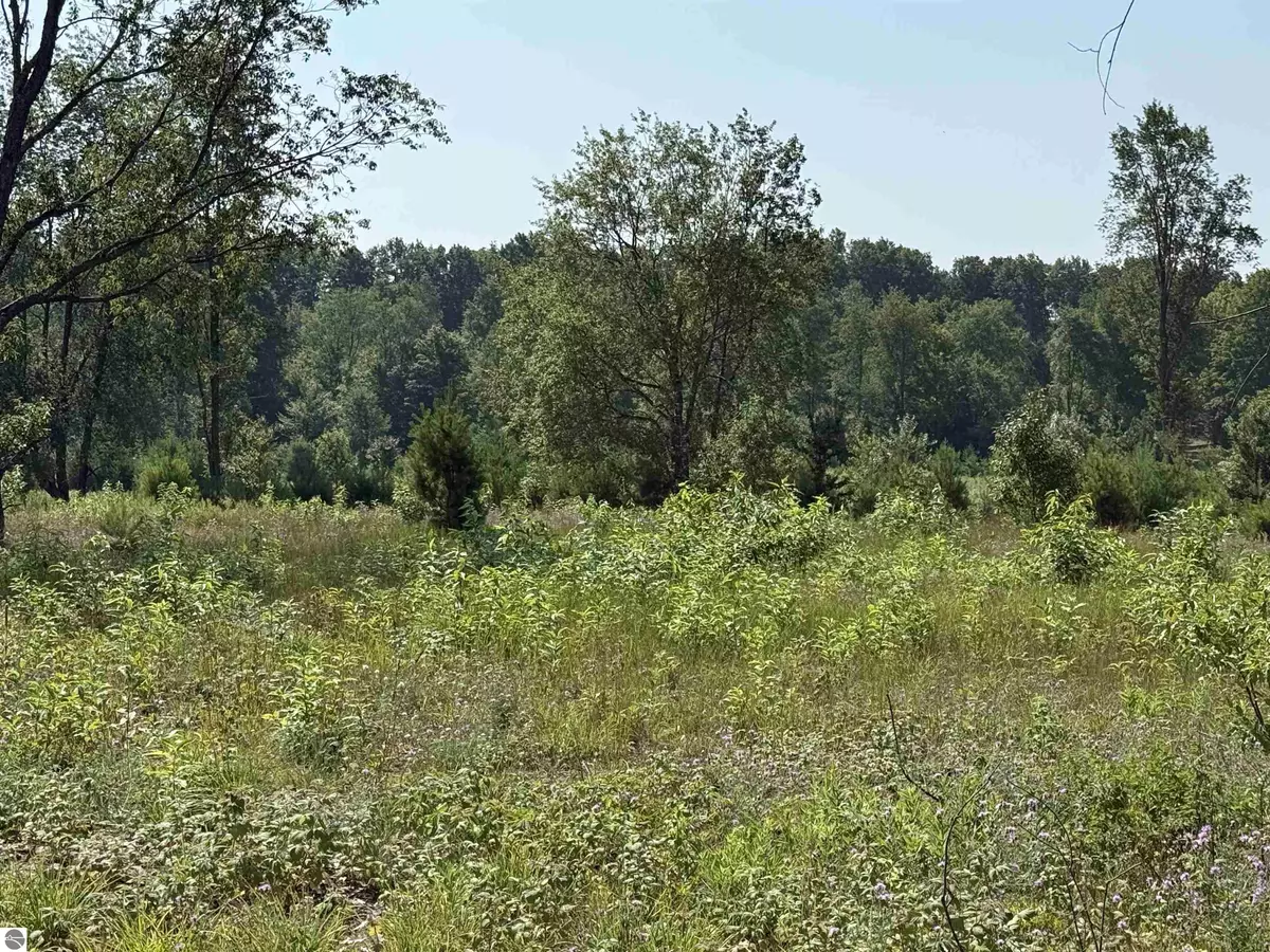 Maple City, MI 49664,Parcel A8 S Bright Road