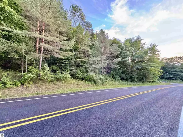 0 S Beaver Pond Road, Empire, MI 49630