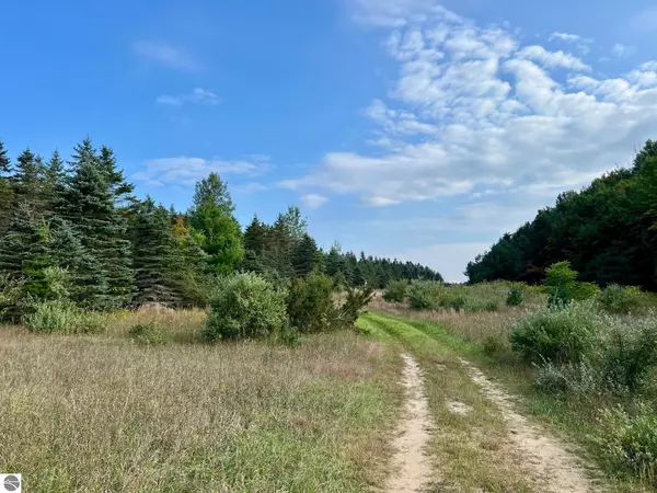 Ellsworth, MI 49729,00 Skinner Road